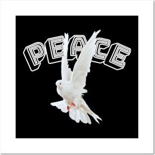 Dove peace Posters and Art